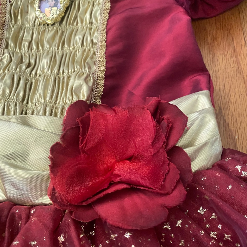 Disney Princess Belle Gown Party Costume - Picture 3 of 7